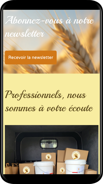 exemple realisation moissons emeline site mobile 2