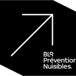 logo blr 2